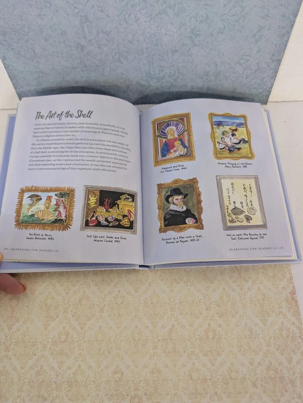 Book On Seashells Searching for Seashells Artist's Guide  Shell Illustrations)